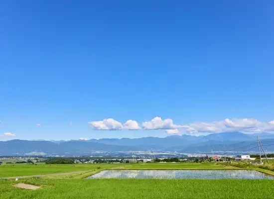 品質の高い産地